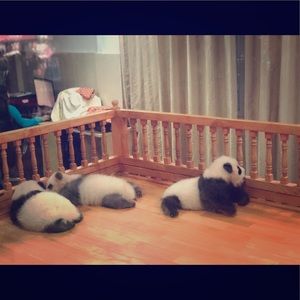 Meet your Posher, Mimi